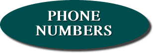 NEVADA PHONE NUMBERS LINK