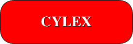 CYCLEX LOCAL DIRECTORY
