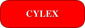 CYCLEX LOCAL SEARCH